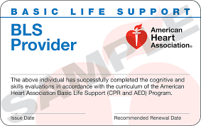 Basic Life Support (BLS)